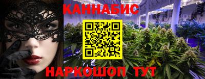 шишки Лесосибирск