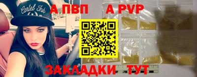 шишки Лесосибирск