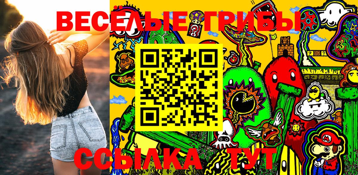 Кинешма  Псилоцибиновые грибы Magic Shrooms  Вход с VPN 