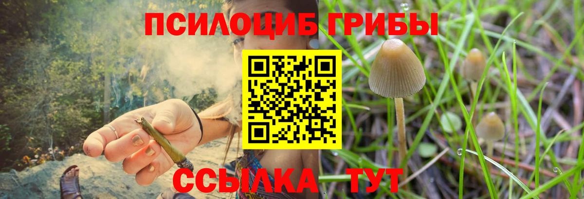 Галлюциногенные грибы MAGIC MUSHROOMS Кинешма